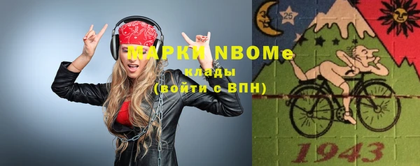 прущая мука Вяземский