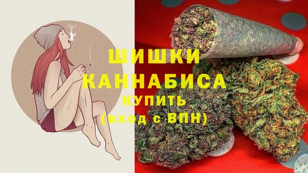 гидра Вязники